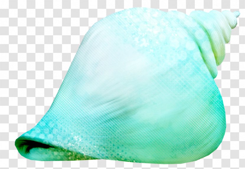 Sea Snail Clip Art - Beach - Green Conch Pattern Transparent PNG