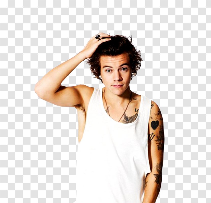 Harry Styles One Direction Photography Up All Night - Cartoon Transparent PNG