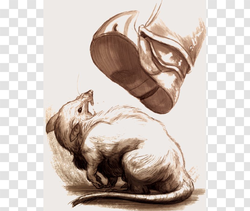 Dog Drawing Paw Canidae - Mammal Transparent PNG