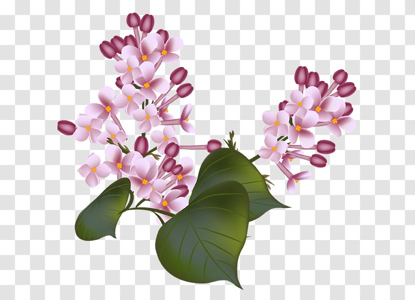Flower Floral Design Clip Art - Violet Transparent PNG