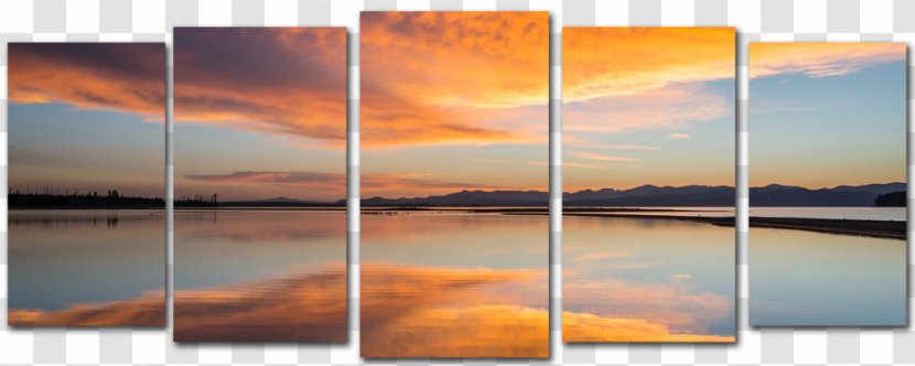 Canvas Print Picture Frames Painting Printing - Wood Transparent PNG