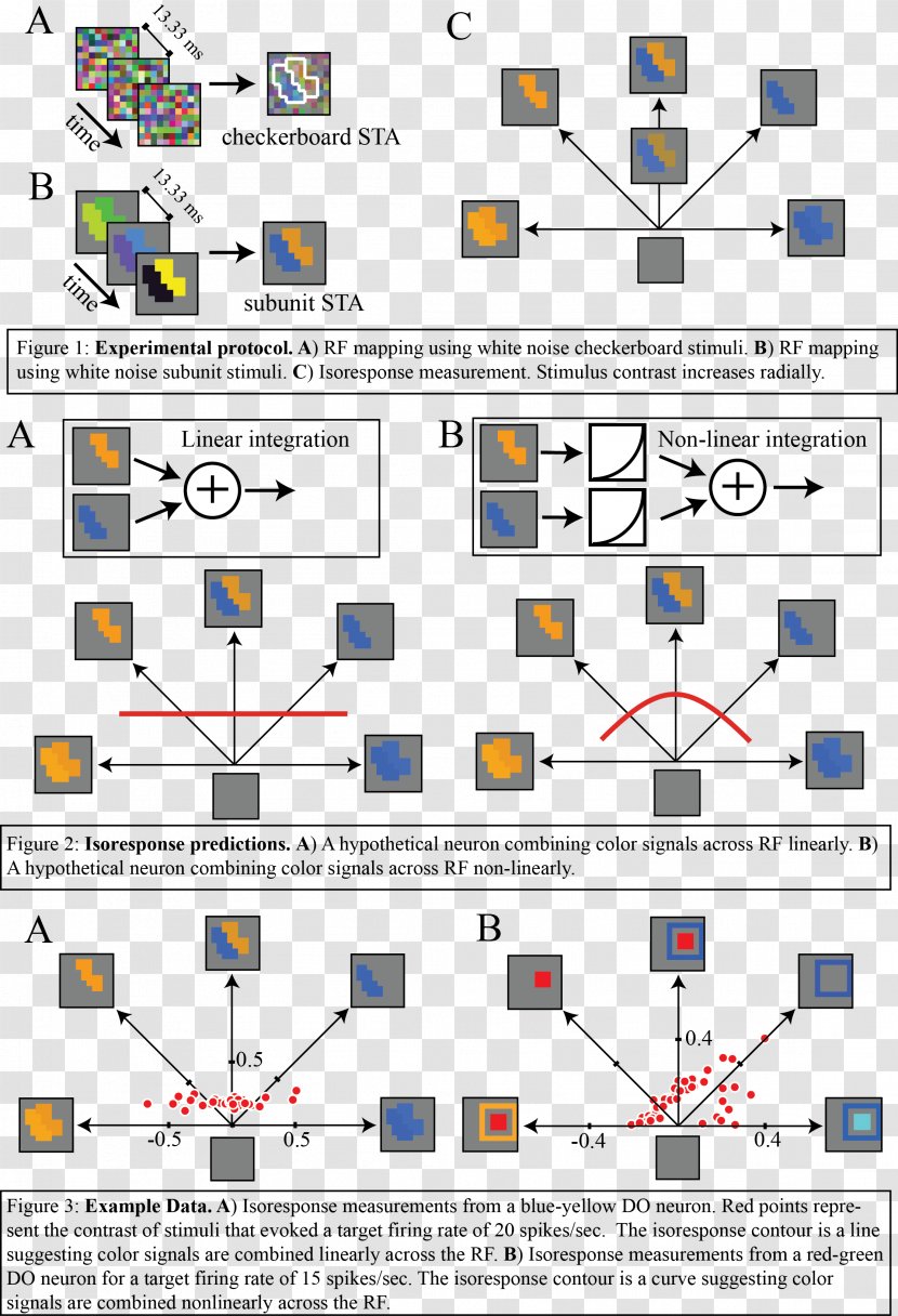 Line Point Angle Organization - Neuron Transparent PNG