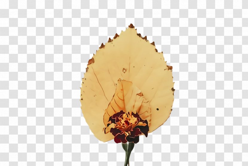 Plane - Watercolor - Wildflower Flower Transparent PNG