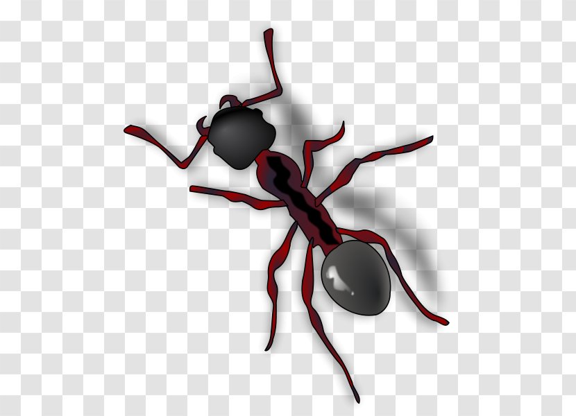 The Ant And Grasshopper Clip Art - Colony Transparent PNG