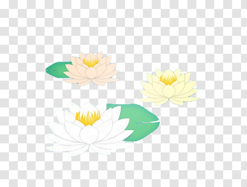 Floral Design Yellow Petal Pattern - Sunflower - Lotus Transparent PNG