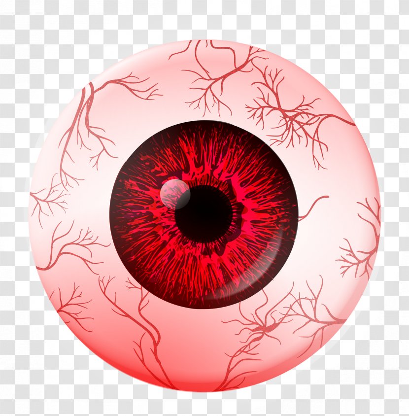 Red Eye Extraocular Muscles Human Movement - Watercolor - Veins Transparent PNG
