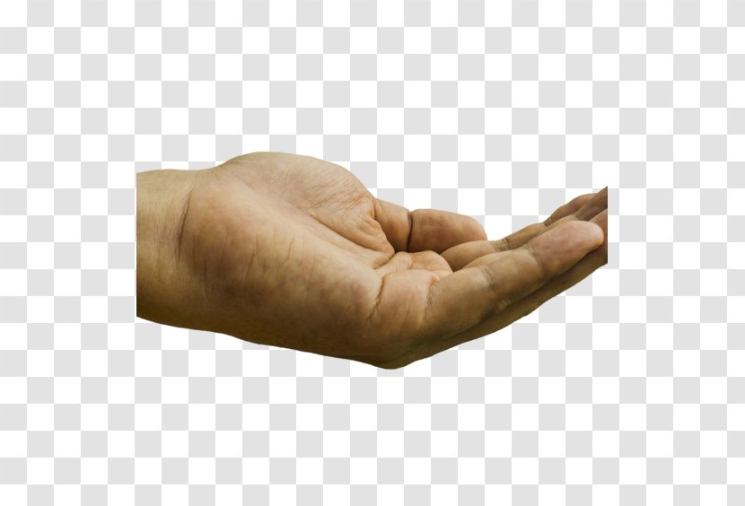 Hand Arm Finger Thumb Homo Sapiens - Watch Transparent PNG