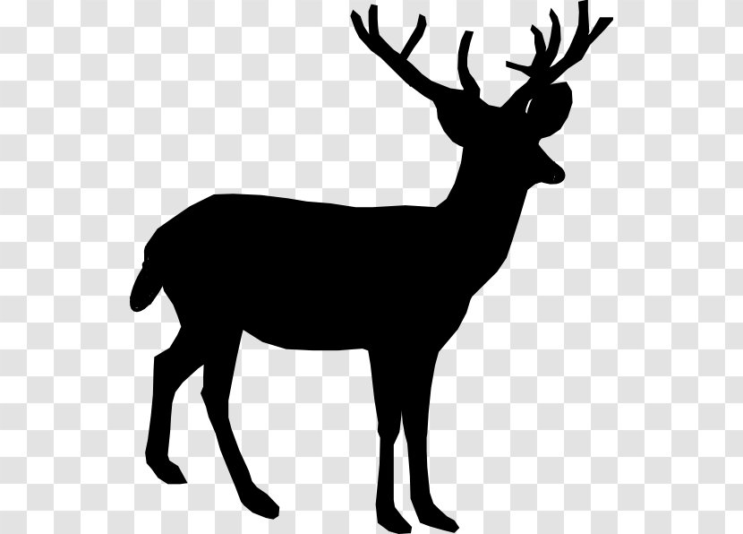 White-tailed Deer Reindeer Clip Art - Whitetailed Transparent PNG