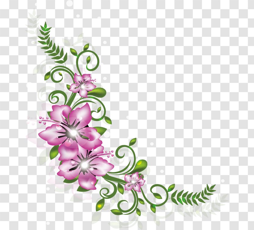 Floral Design Illustration - Diet Decoration Transparent PNG