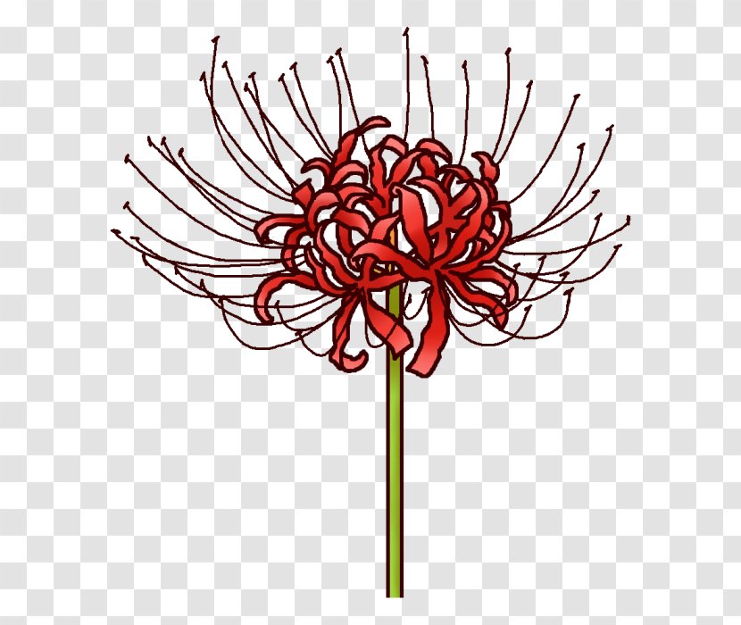 Floral Design Cut Flowers Chrysanthemum - Tree - Flower Transparent PNG