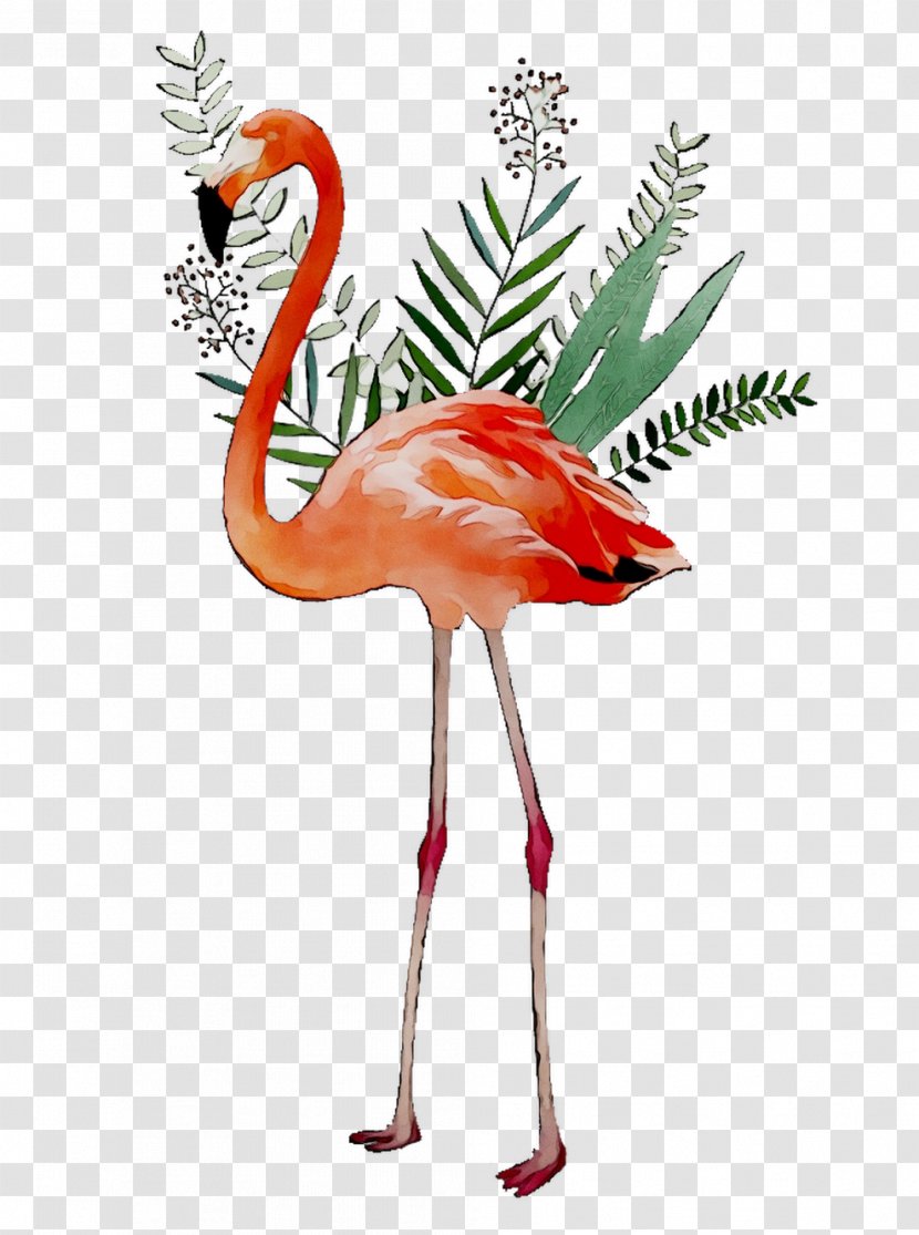 Abziehtattoo Temporary Tattoos Body Art Design - Wildlife - Greater Flamingo Transparent PNG