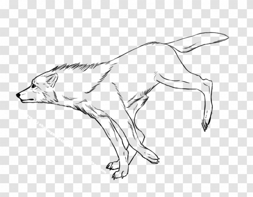 Red Fox Dog Breed Drawing Sketch - Like Mammal Transparent PNG