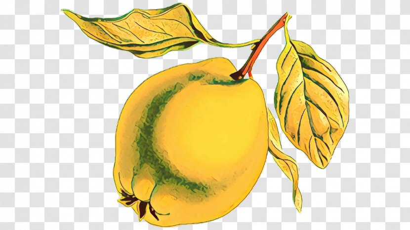 Apple Leaf - Accessory Fruit Food Transparent PNG