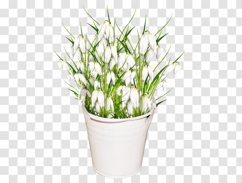 Floral Design Cut Flowers Flowerpot Flower Bouquet - Grass Family Transparent PNG