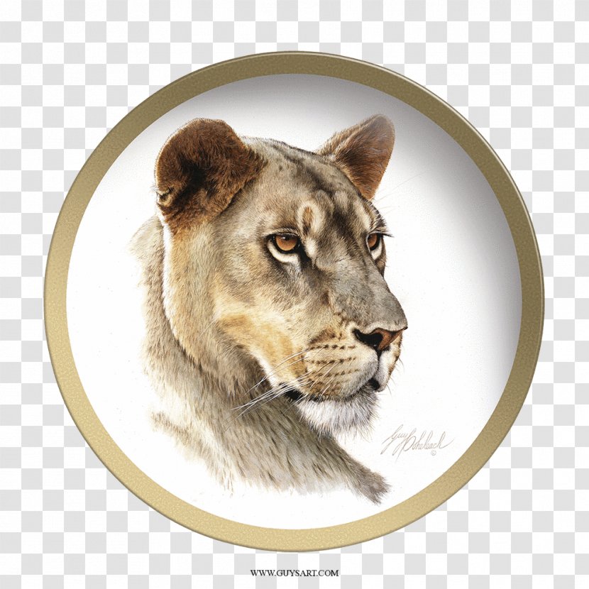 Lion Big Cat Drawing Painting - Puma - Head Transparent PNG