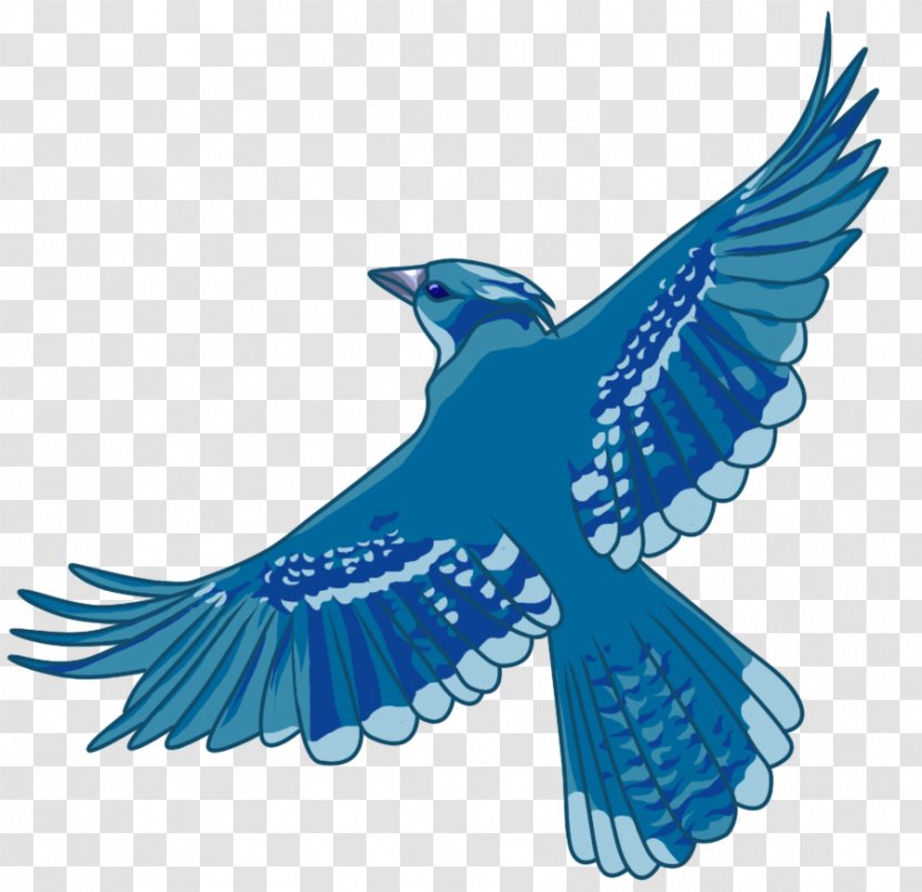 Beak Bird Of Prey Cobalt Blue Feather Transparent PNG