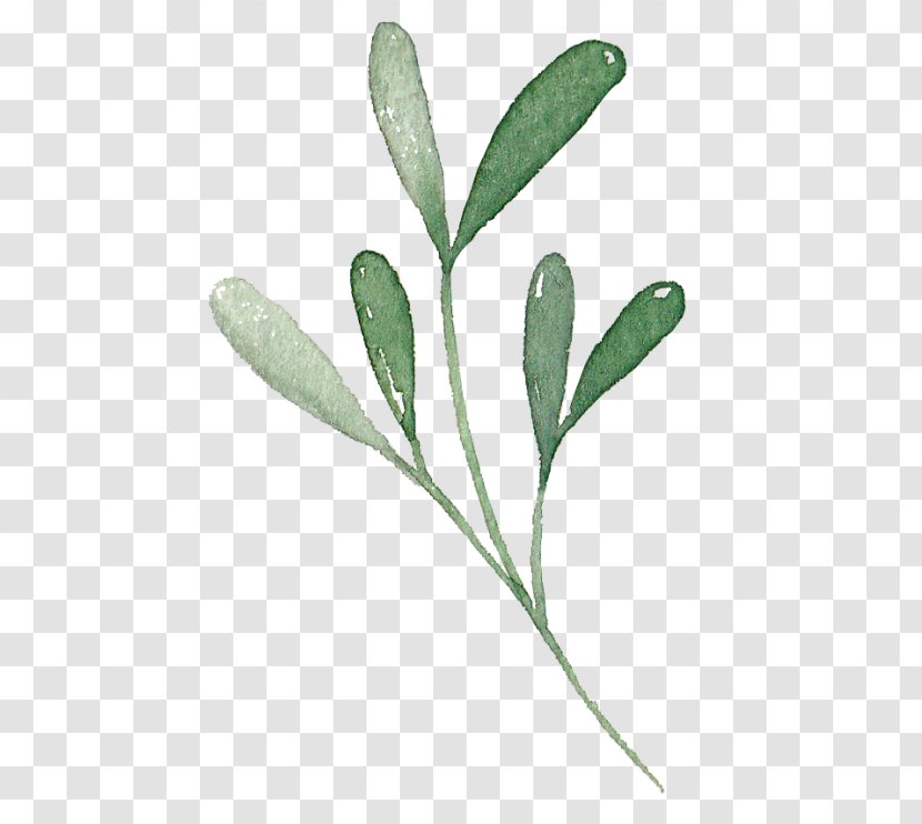 Flower Plant Leaf Pedicel Stem Transparent PNG