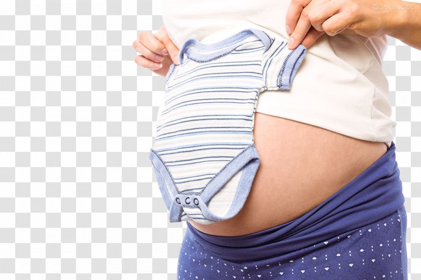 Pregnancy Childbirth Stock Photography - Flower - Pregnant Woman,belly,pregnancy,Mother,Pregnant Mother Transparent PNG
