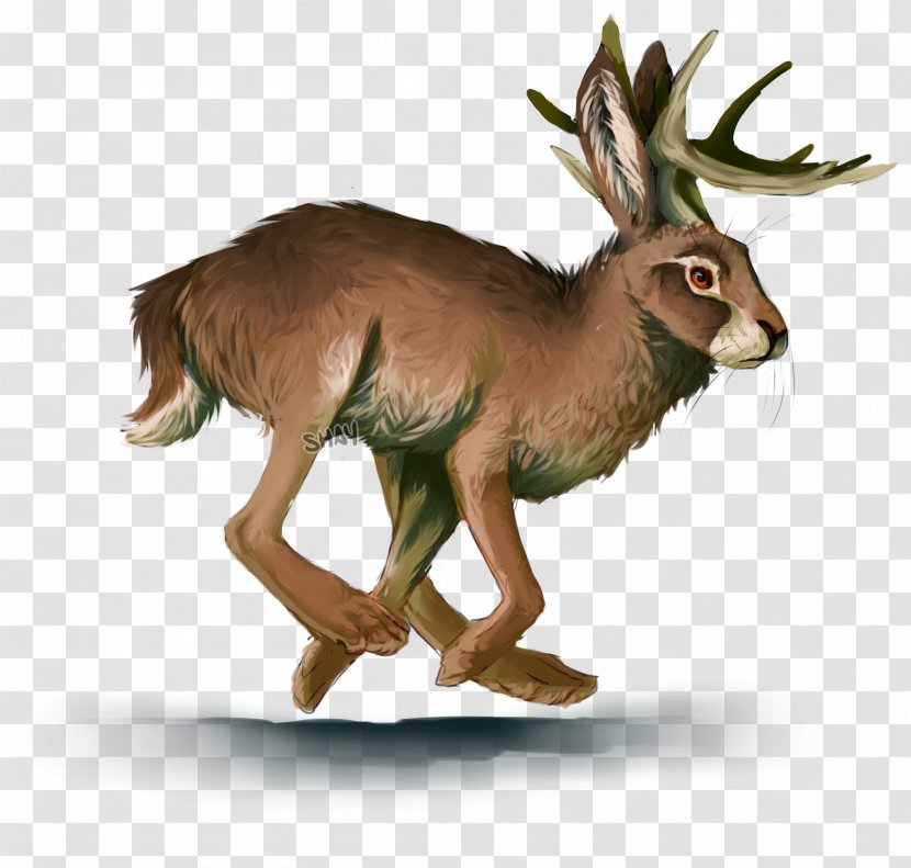Hare Musk Deer Antelope Jackalope - Lebre - Watercolor Bunny Transparent PNG