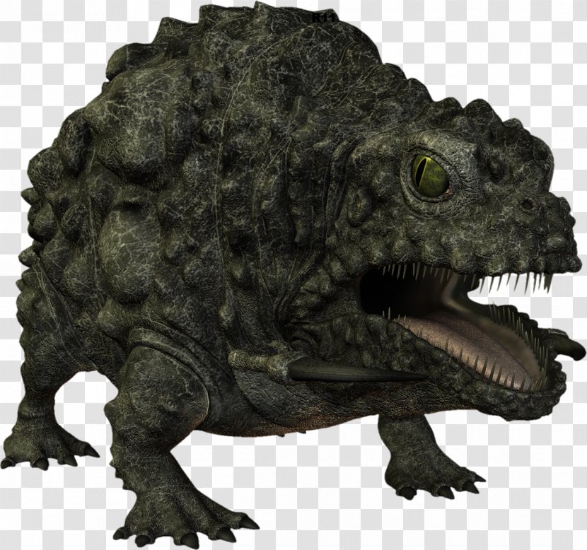 Reptile Terrestrial Animal Toad - Organism Transparent PNG