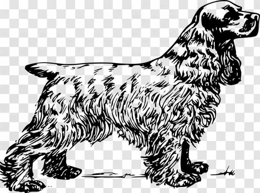 English Cocker Spaniel American King Charles Clip Art - Rare Breed Dog Transparent PNG