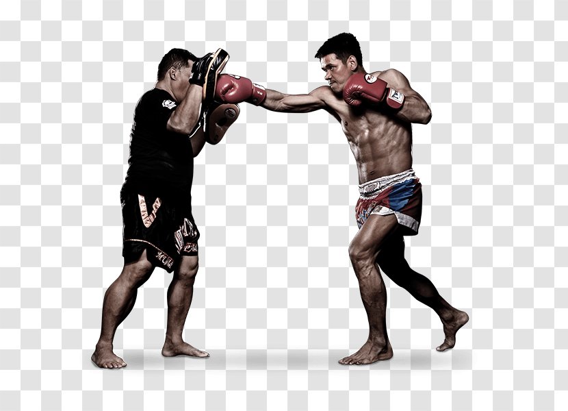 Muay Thai Mixed Martial Arts Evolve MMA Boxing - Equipment Transparent PNG