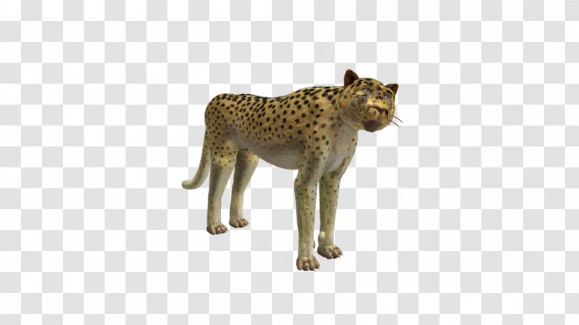Cheetah Big Cat Terrestrial Animal Puma - Carnivoran Transparent PNG