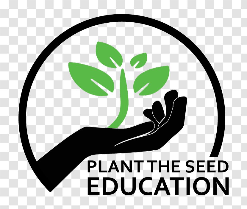 Ghana National Education Campaign Coalition School Educational Research Adult - Flower Seed Transparent PNG