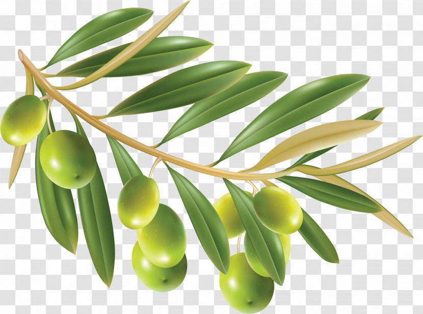 Olive Oil Leaf Clip Art - Wreath Transparent PNG