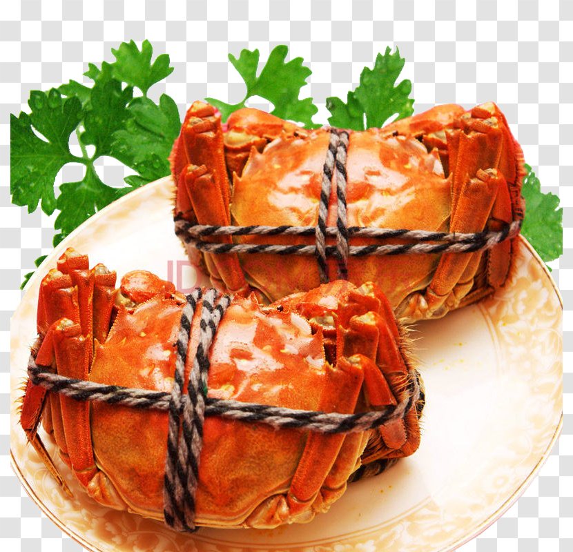 Yangcheng Lake Crab Chongming Island Chinese Cuisine Seafood - Garnish - Hairy Crabs Transparent PNG