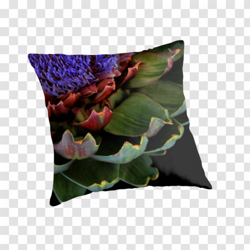 Throw Pillows Cushion Plant - Pillow Transparent PNG