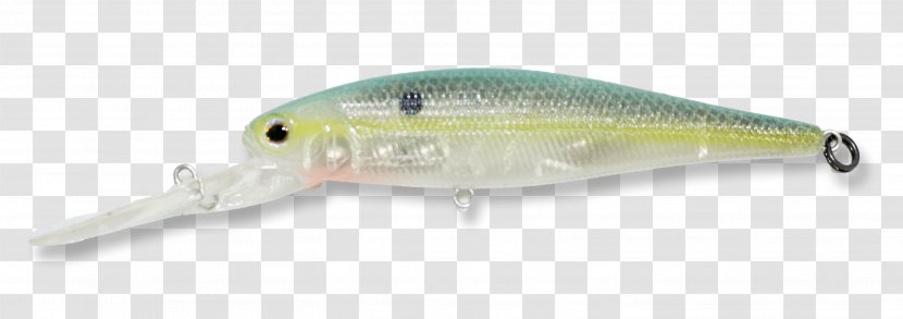 Bass Worms Fishing .cf Technology Transparent PNG