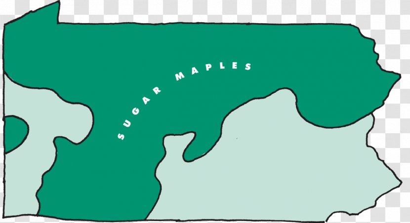 Green Animal Clip Art - Sugar Maple Leaves Transparent PNG