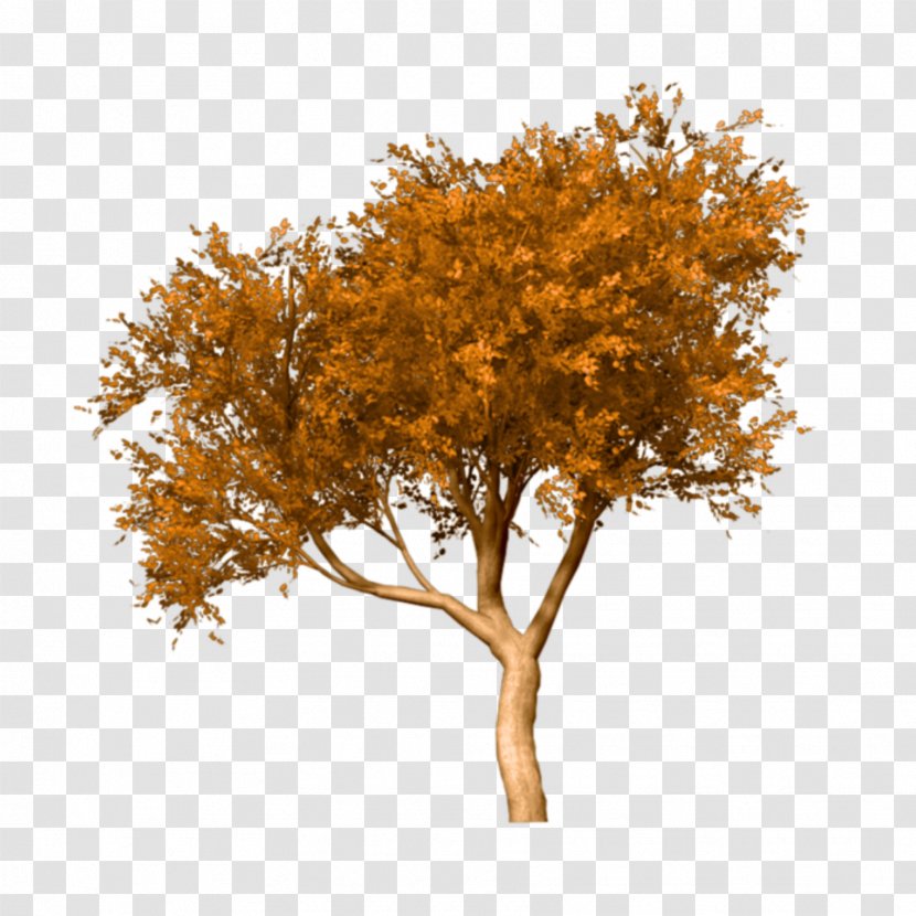 Fall Tree Clip Art Image - Maple Transparent PNG