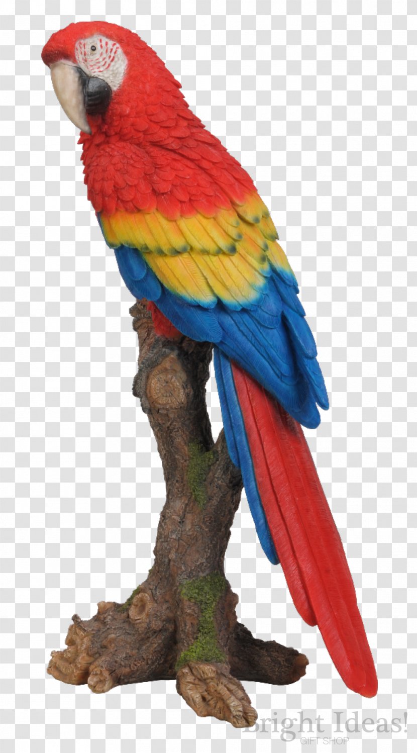 Parrot Bird Garden Ornament - Art Transparent PNG