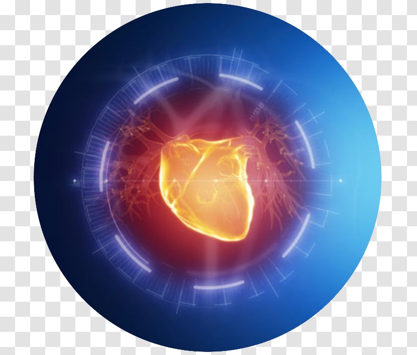 Cardiovascular Disease Heart Circulatory System Coronary Artery Cardiology - Circulation - Science Seminar Poster Design Transparent PNG