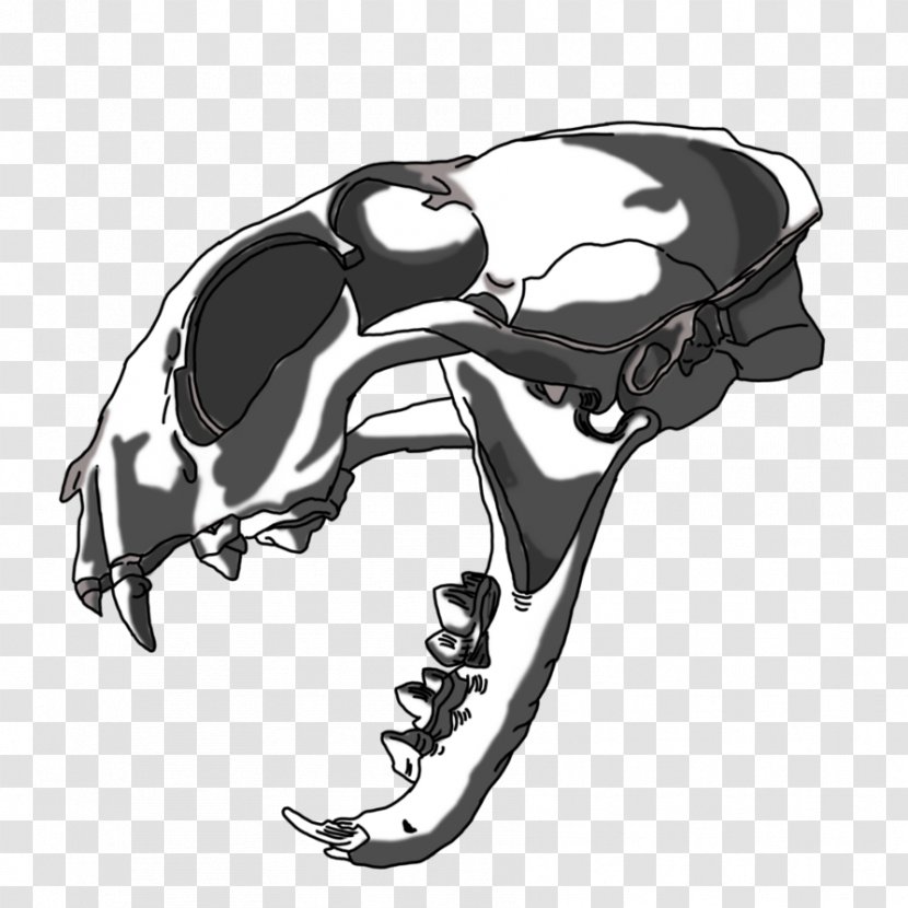 Skull Automotive Design Car Skeleton - Bone - Lynx Double Eleven Transparent PNG