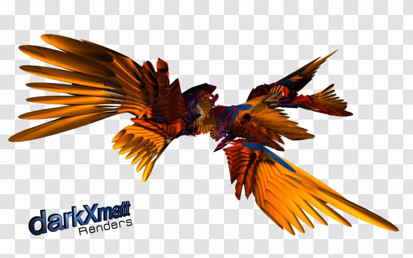 Rendering Cinema 4D Macaw Image DeviantArt - Bird - C4d Renders Deviantart Transparent PNG