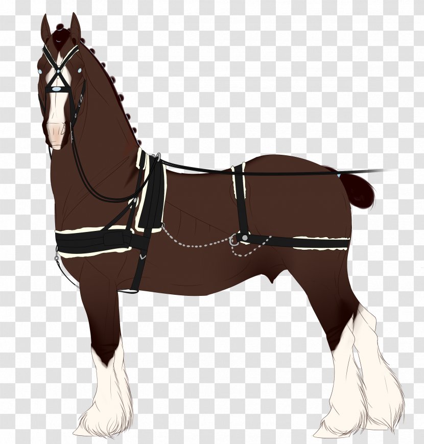 Mule Foal Bridle Stallion Pony - Horse - Mustang Transparent PNG