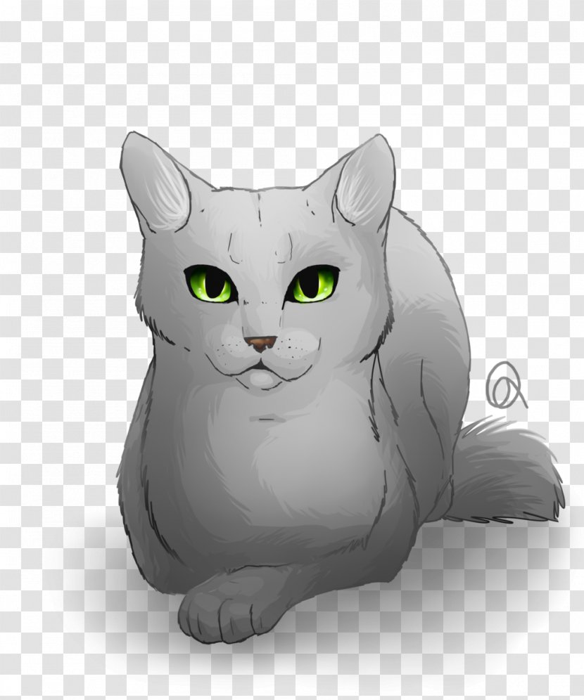 Whiskers Warriors Korat Kitten Into The Wild - Paw Transparent PNG