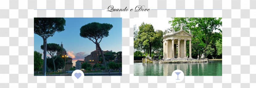 Stock Photography Picture Frames Brand Tourism - Tree - SPOSi Transparent PNG