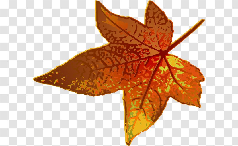 Maple Leaf Autumn Color Clip Art - Fall Transparent PNG