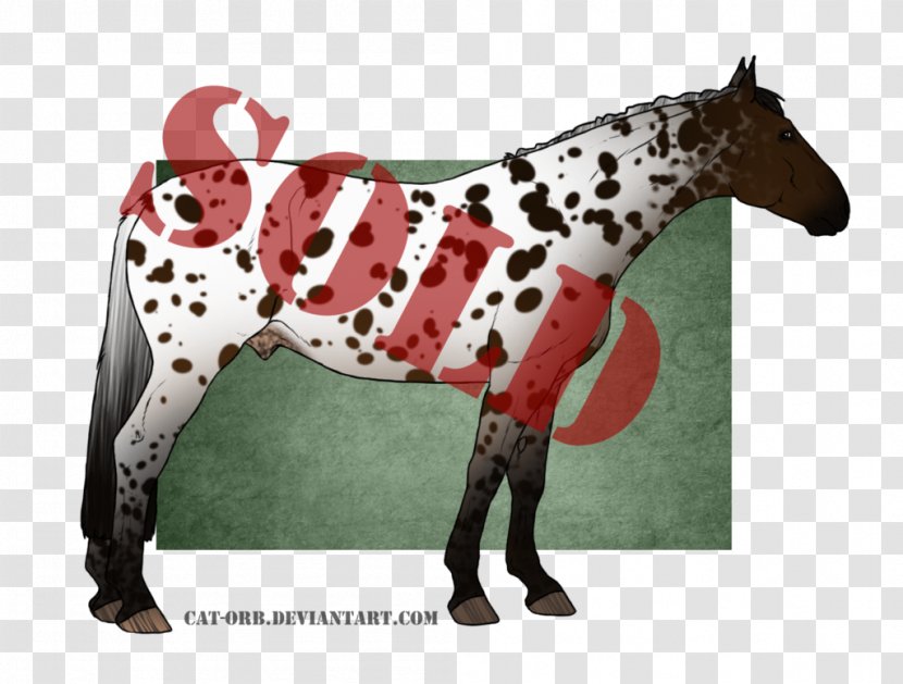 Stallion Mustang Mare Pony Halter - Outerwear Transparent PNG