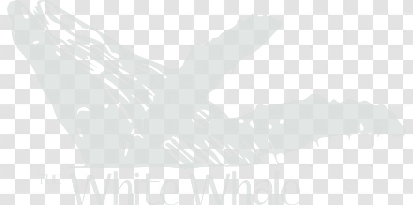 Logo Brand White Desktop Wallpaper - Computer - Minke Whale Transparent PNG