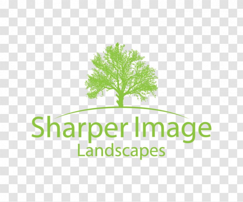 Tree Of Life Logo Text Leaf Vegetable - Conflagration - Landscape Transparent PNG