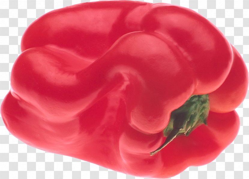 Chili Pepper Cayenne Vegetable - Lip - Red Image Transparent PNG