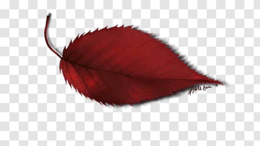 Leaf Petal - Red Transparent PNG