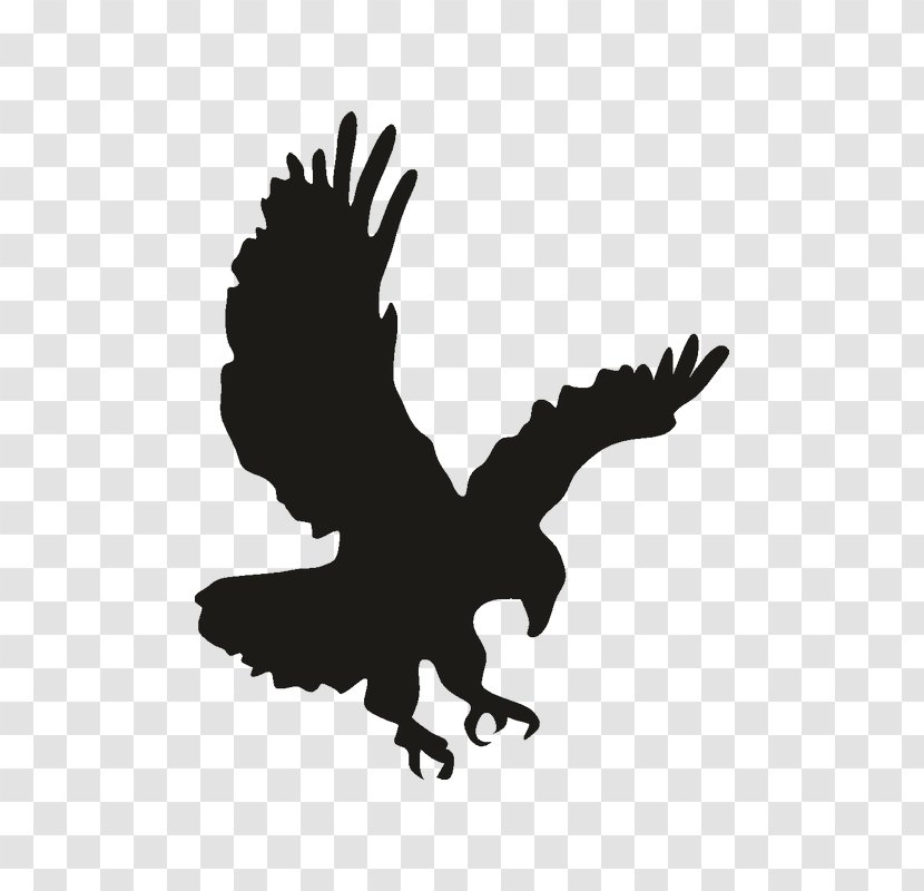 Bald Eagle Drawing Clip Art - Silhouette Transparent PNG