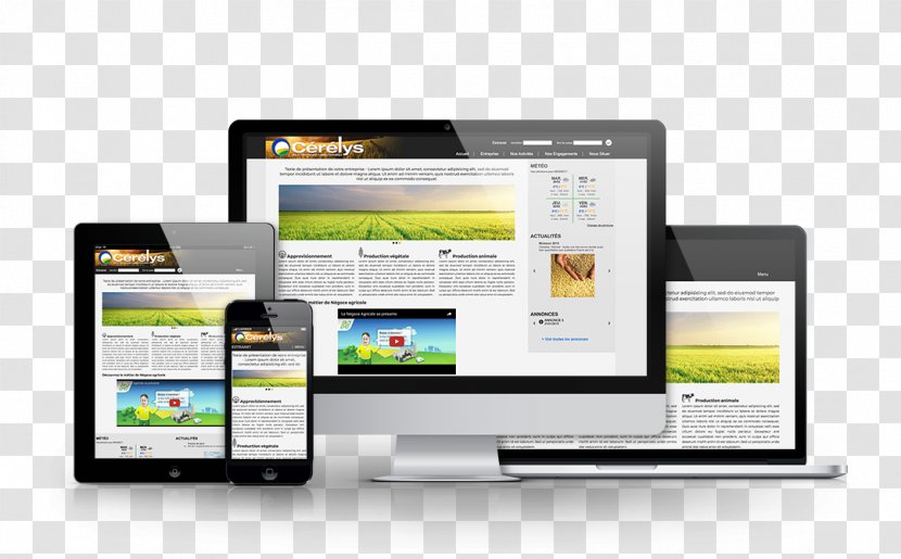 Web Development Responsive Design Banner Page Transparent PNG