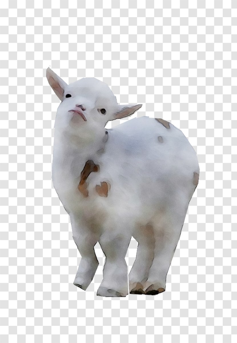 Sheep Cattle Goat Figurine Snout - White Transparent PNG